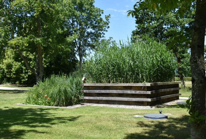 Phytoépuration près de Villennes-Sur-Seine