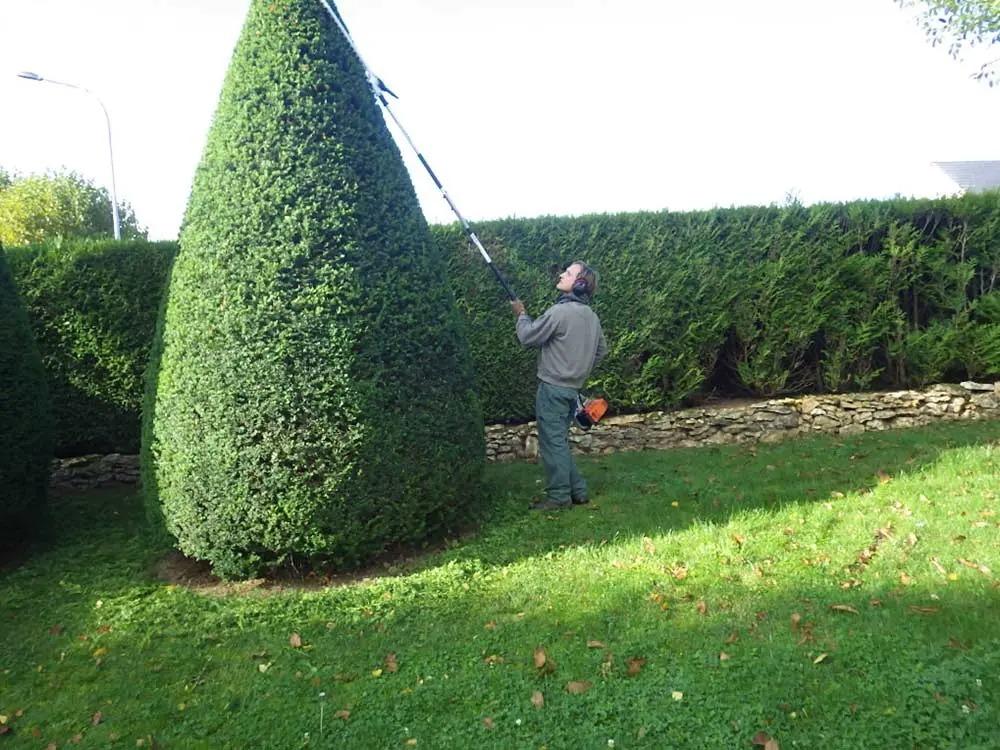 travaux jardinage